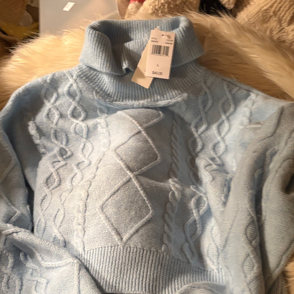 Sky Blue Cable Knit Turtleneck Sweater nwt